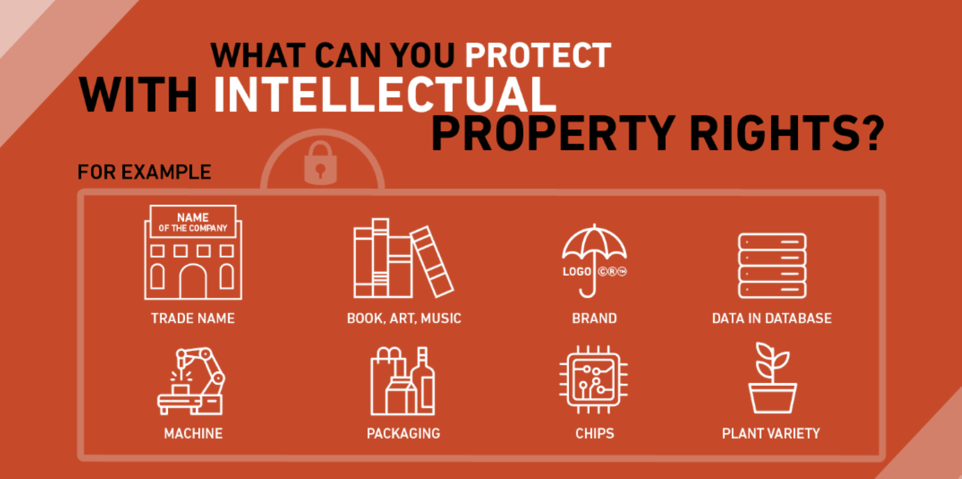 IP_Concept (Large)